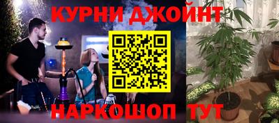 мяу мяу мука Лесосибирск