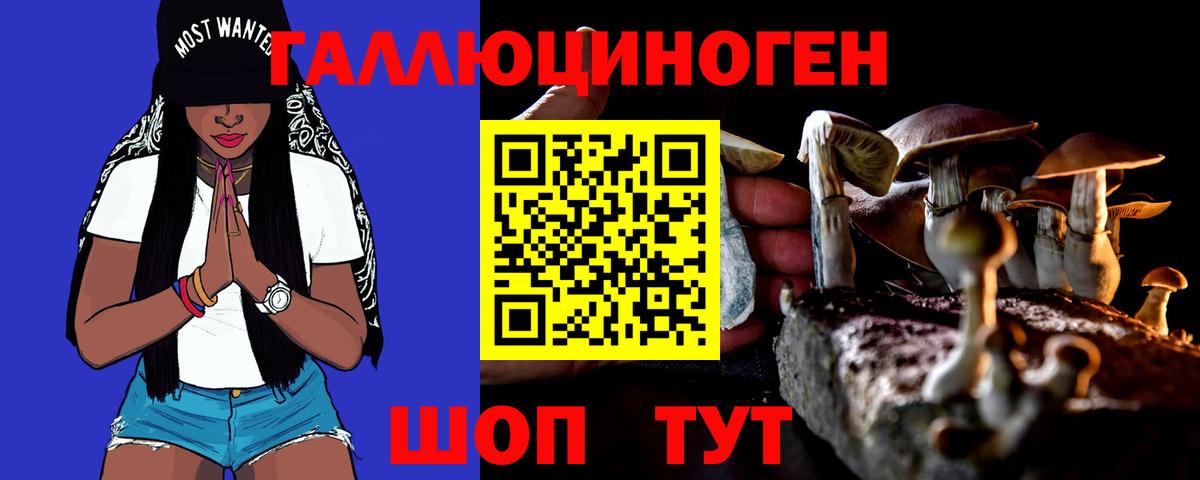 Псилоцибиновые грибы Psilocybine cubensis Королёв